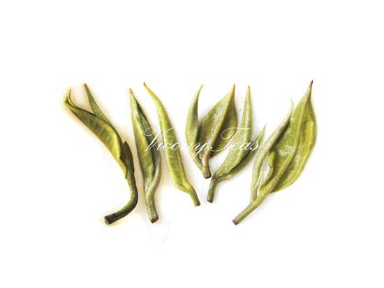 Jade Snail Tea | Yunnan Biluochun Green Tea Brewed Leaves